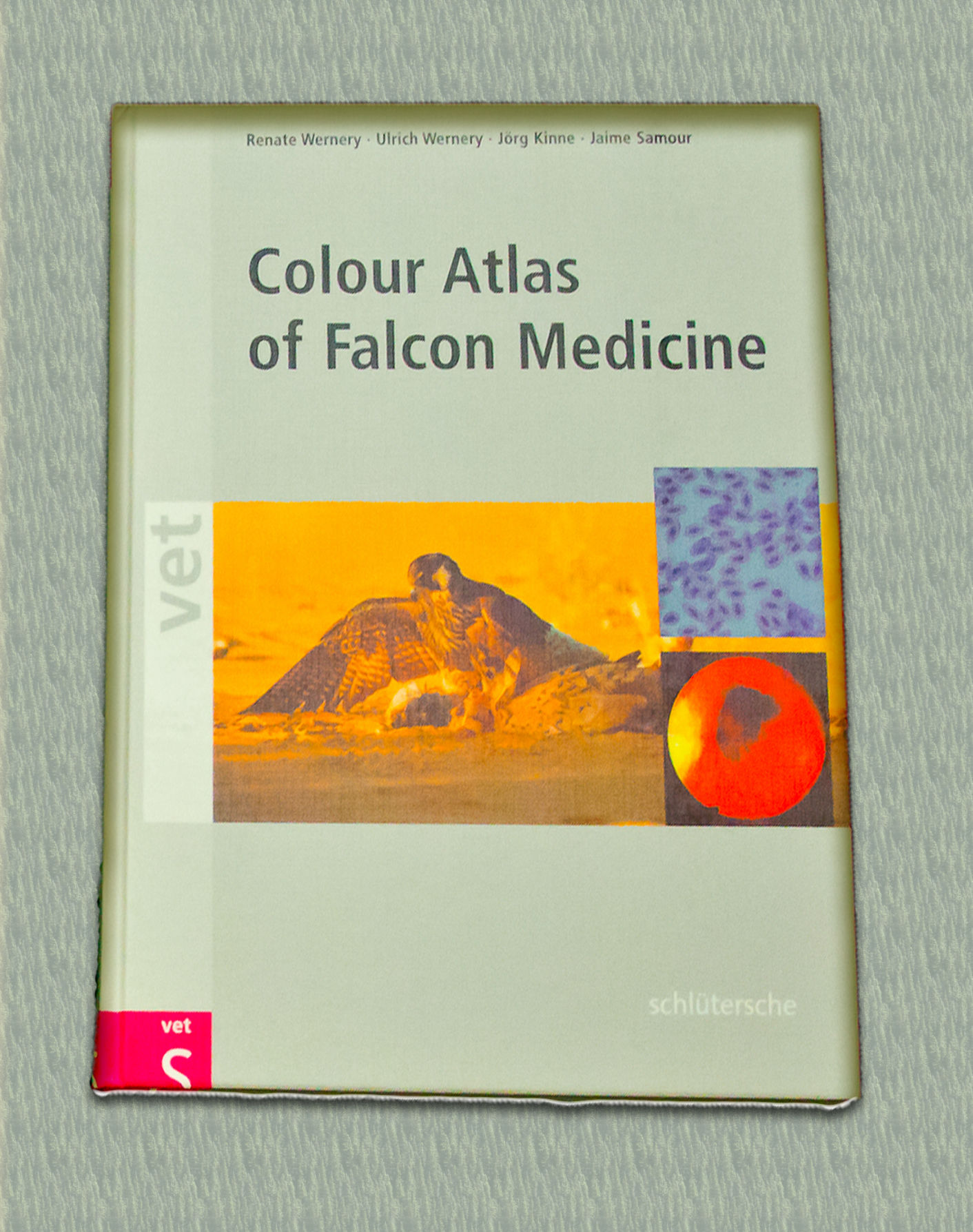 Colour Atlas of Falcon Medicine - Jaime Samour